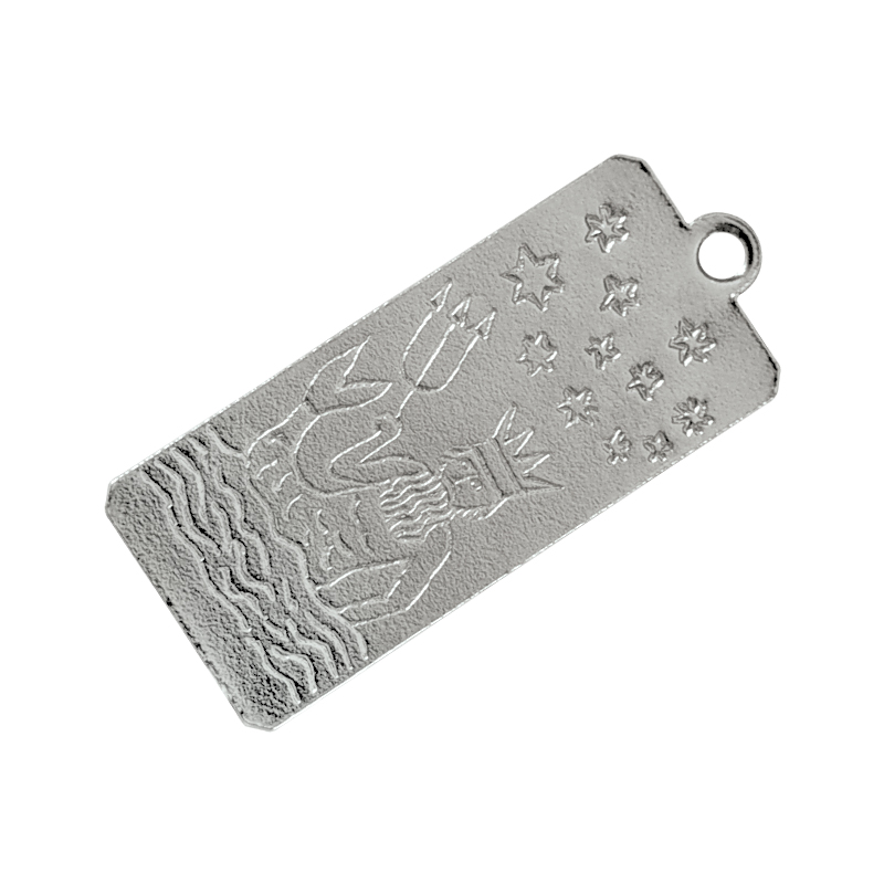 Medalha Retangular Netuno - 14x31mm